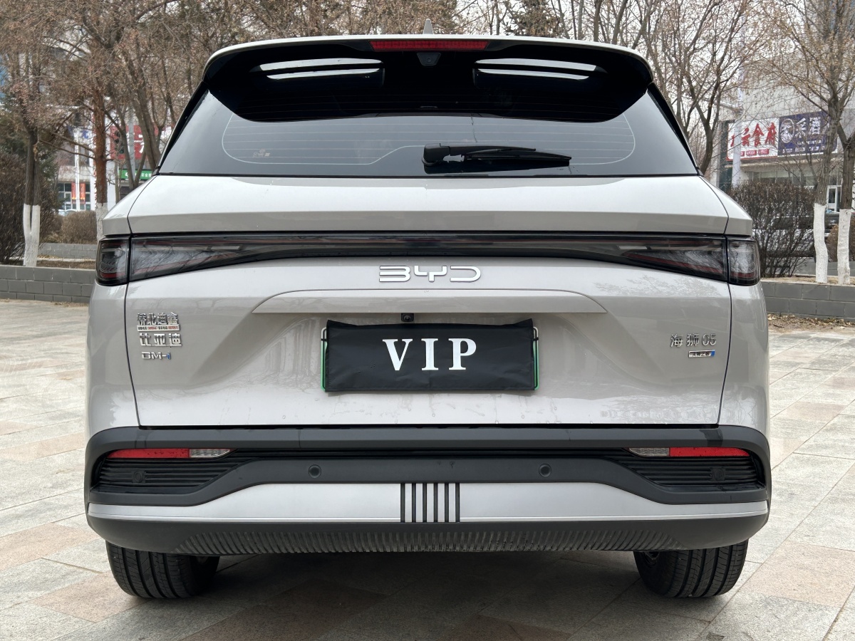 BYD Sea Lion 05 DM-i 2025 car image #5