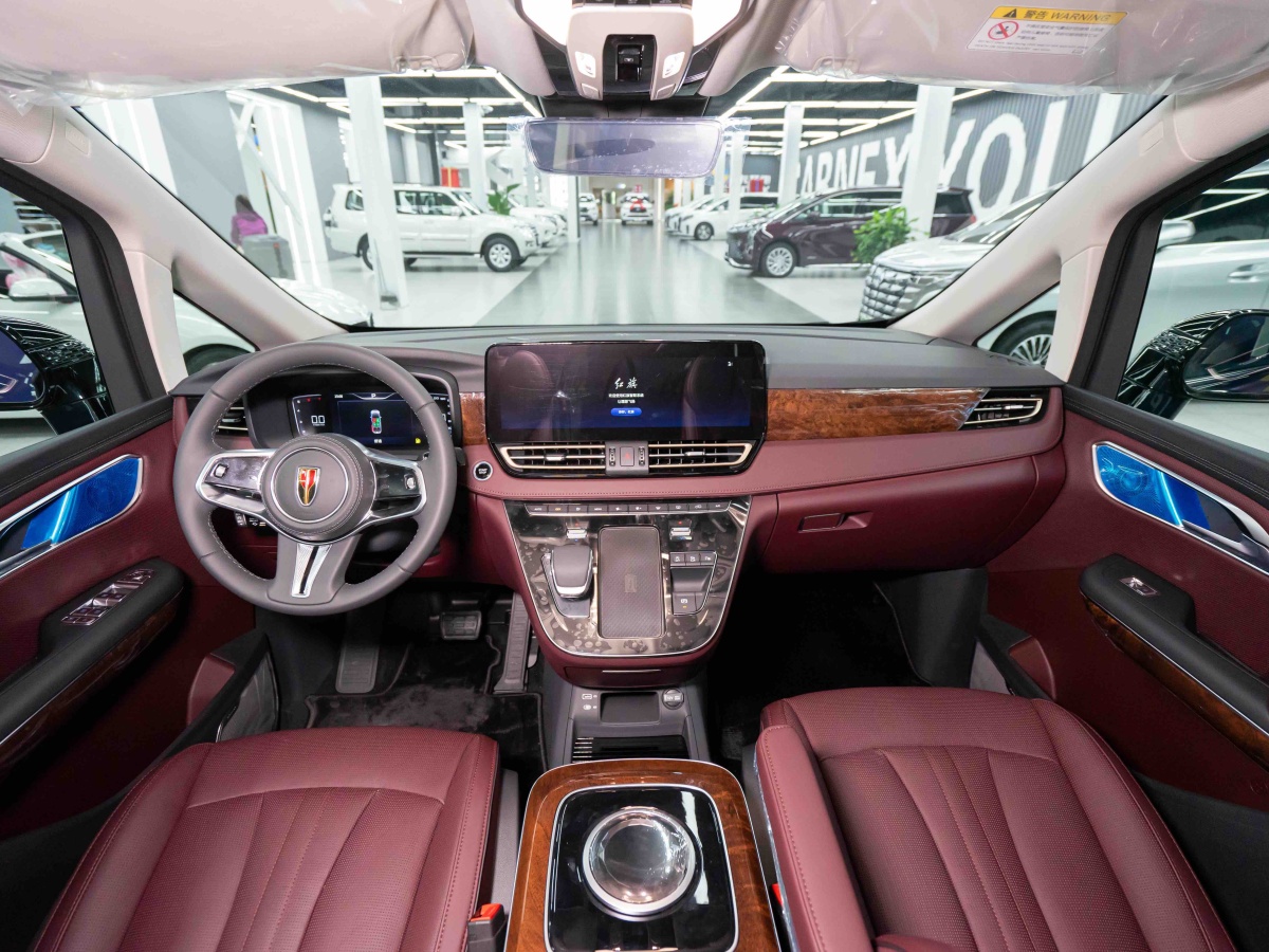 HongQi HQ9 2023 immagine di auto #5