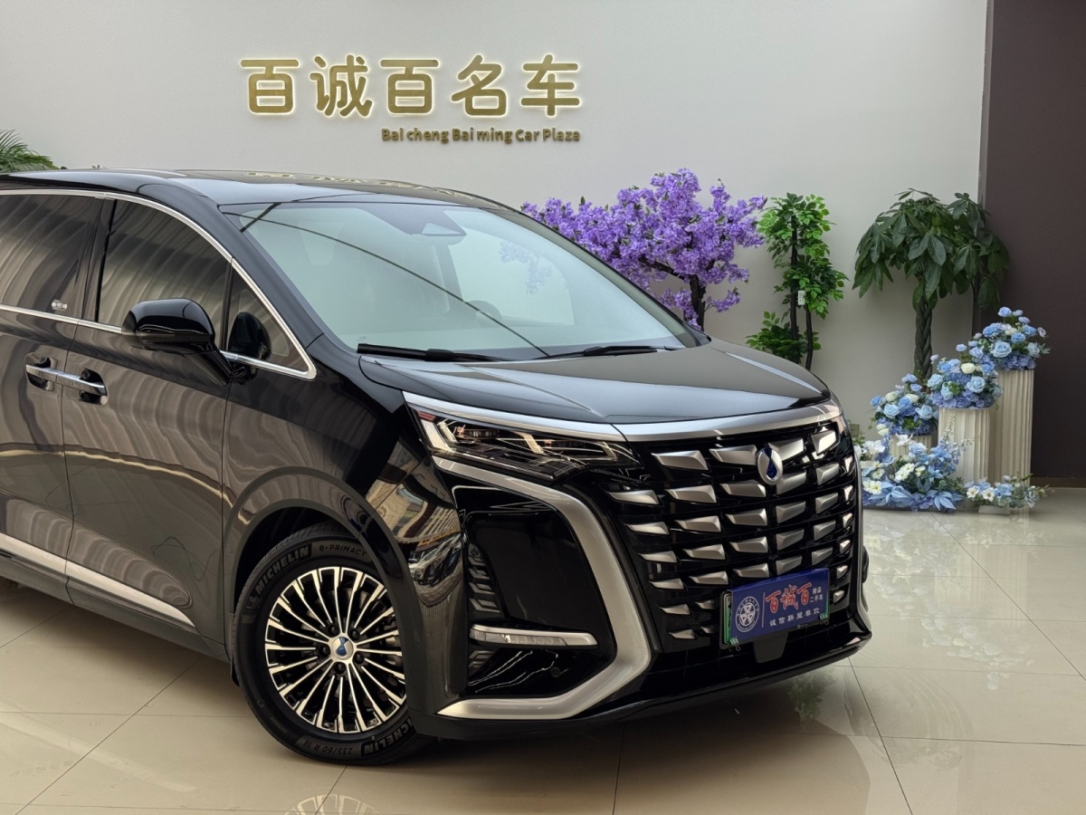 Denza D9 2023 image de voiture #5