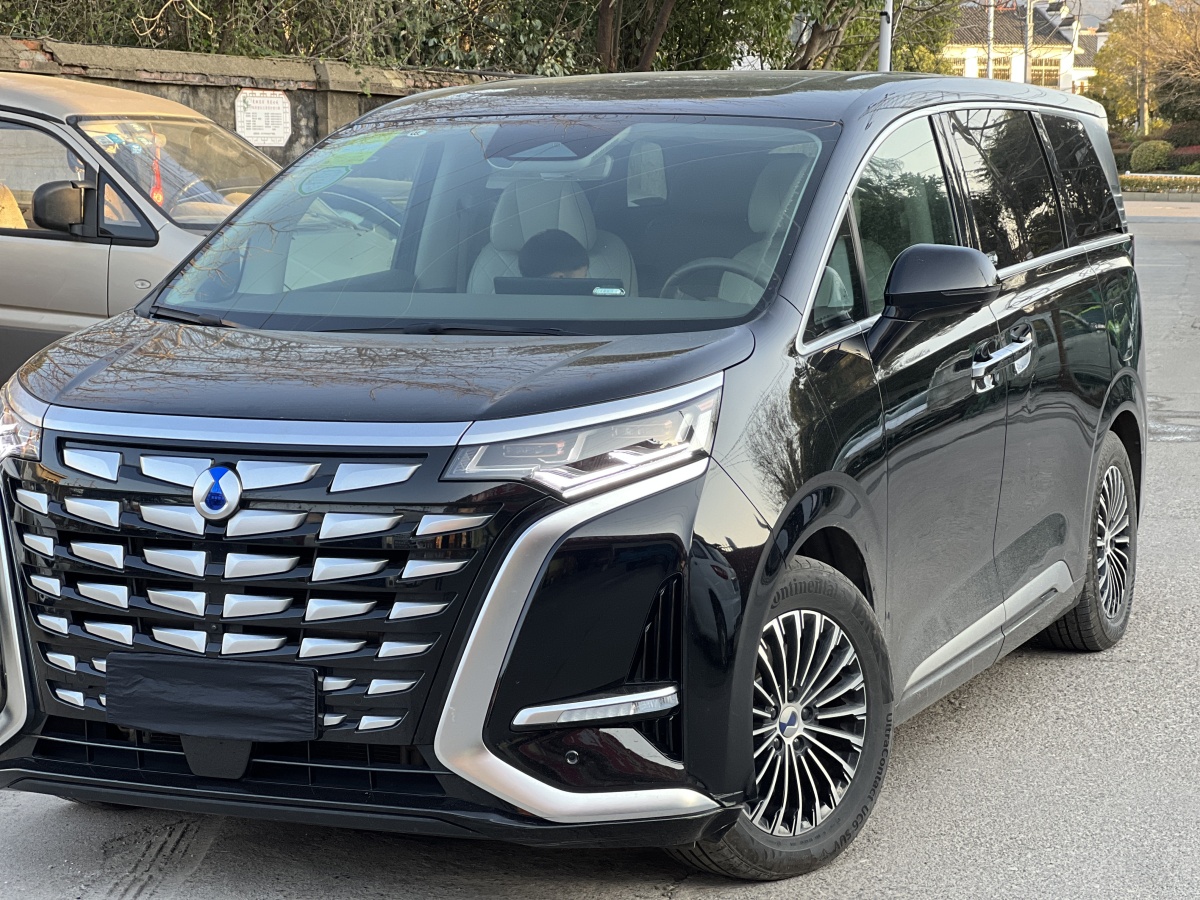 Denza D9 2023 image de voiture #5