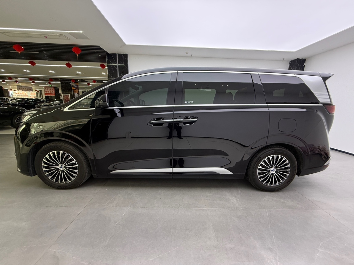 Denza D9 2024 immagine di auto #5