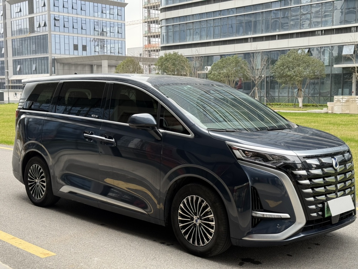 Denza D9 2023 image de voiture #5