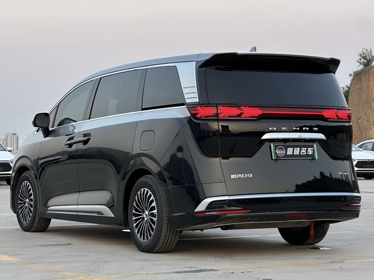 Denza D9 2023 imagem de carro #5