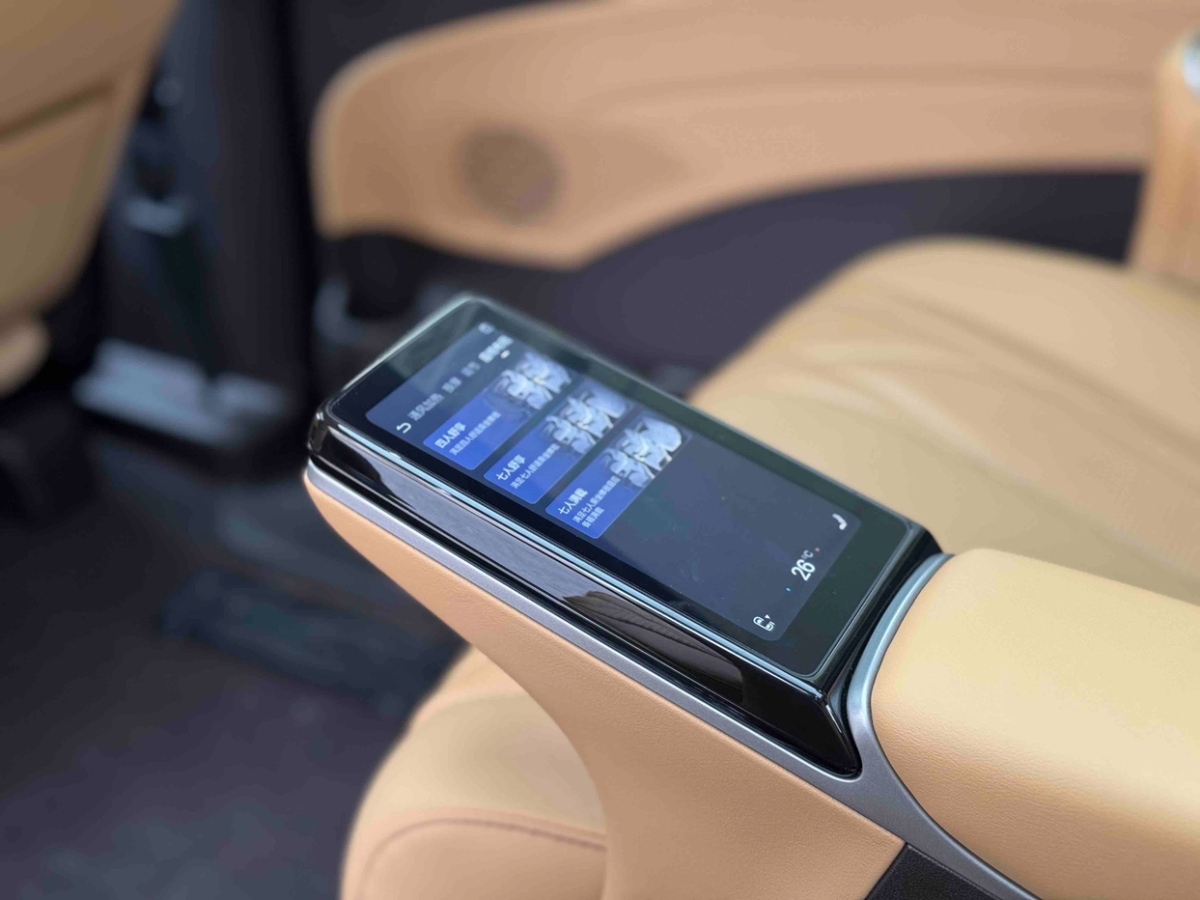 Denza D9 2024 imagen de coche #5