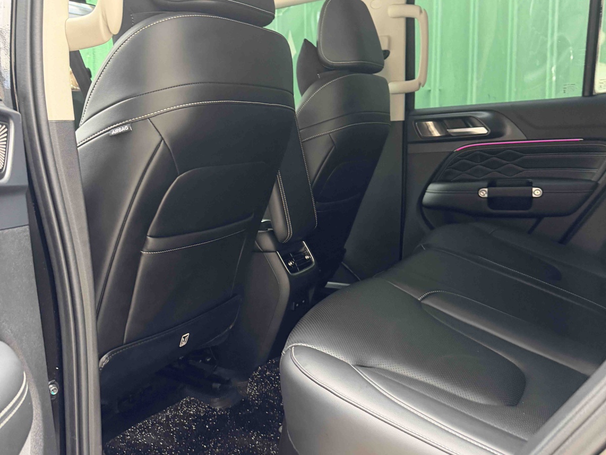 Tank 300 New Energy 2025 car image #5