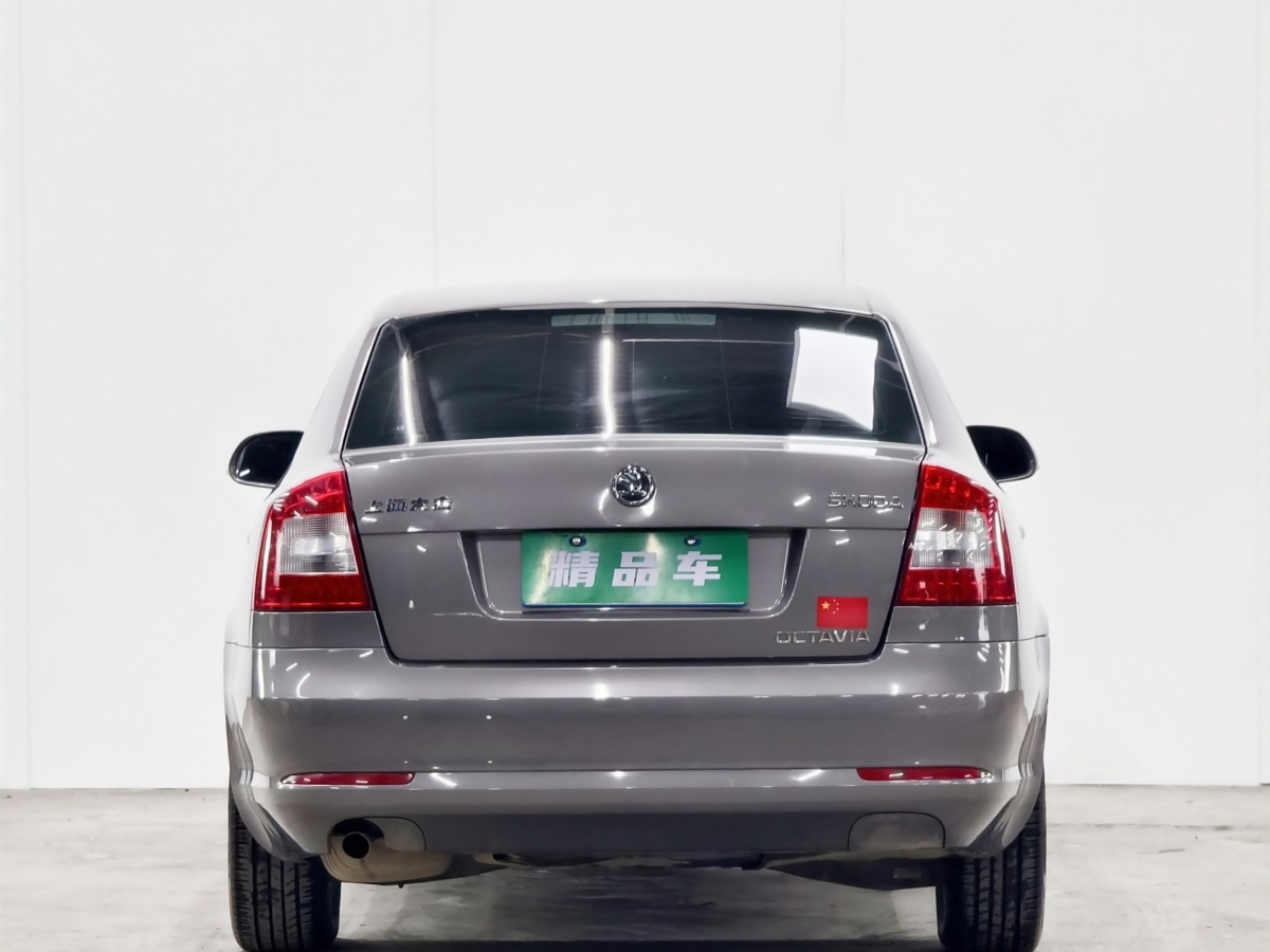 Skoda 2013 car image #5