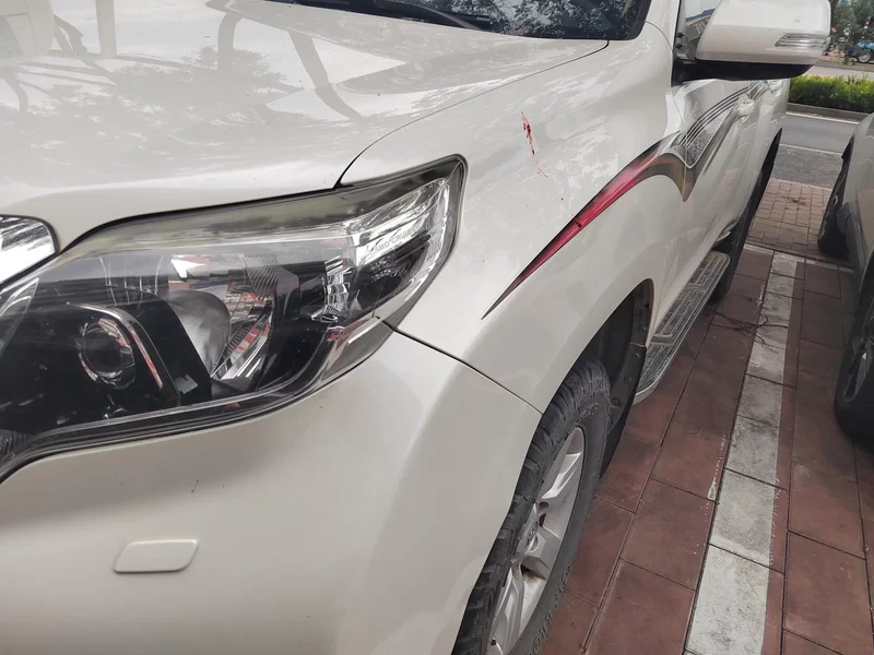 Toyota Prado (Imported) 2016 car image #5