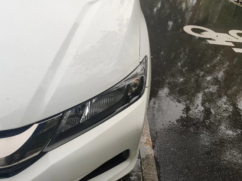 本田 锋范 2019 #5 本田 锋范 2019 汽车图片 #5