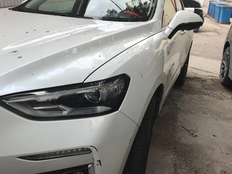 Haval F5 2018 car image #5