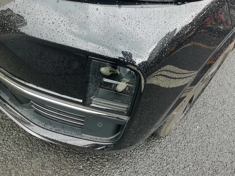 Li L8 2024 изображение автомобиля #5