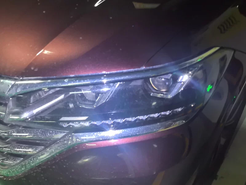 Volkswagen Viloran 2021 car image #5