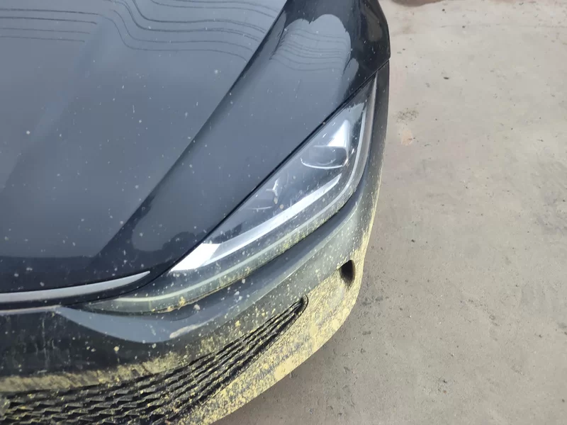 Volkswagen Lamando 2024 imagem de carro #5