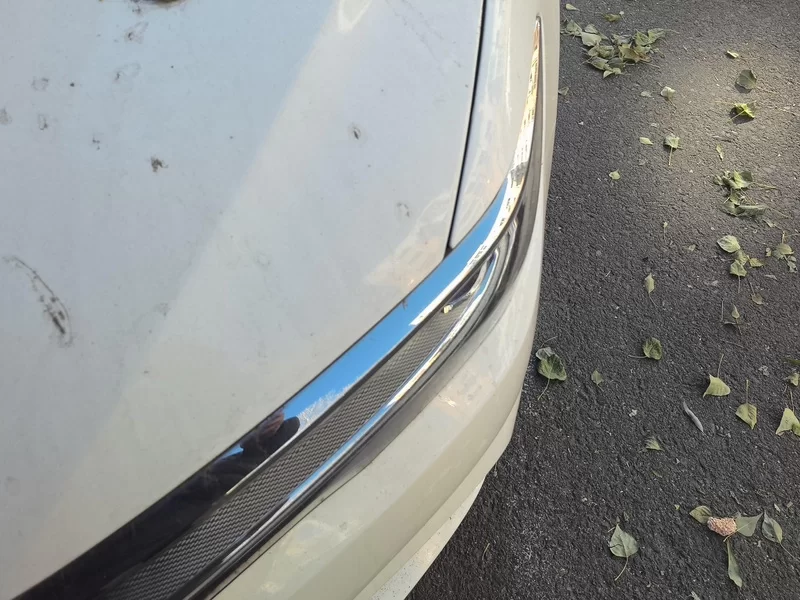 BYD Qin 2019 immagine di auto #5