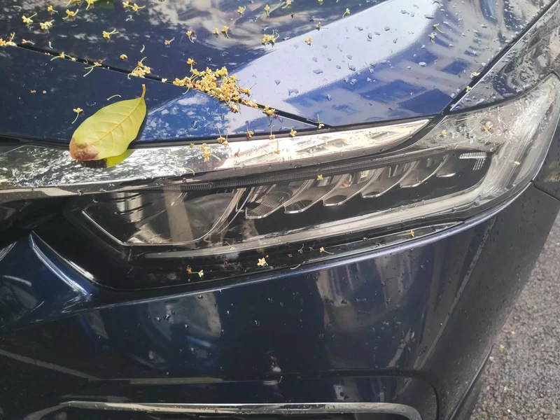 Honda Inspire 2021 #5 Honda Inspire 2021 immagine di auto #5