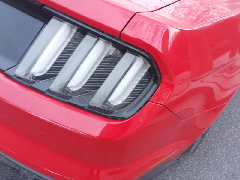 Ford 2015 #5 Ford 2015 car image #5