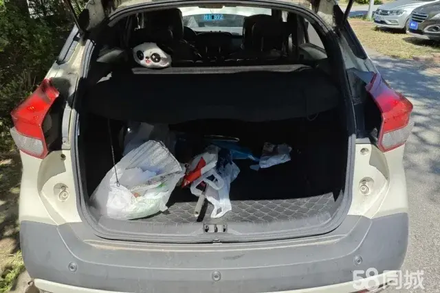 日产 劲客 2018 汽车图片 #5