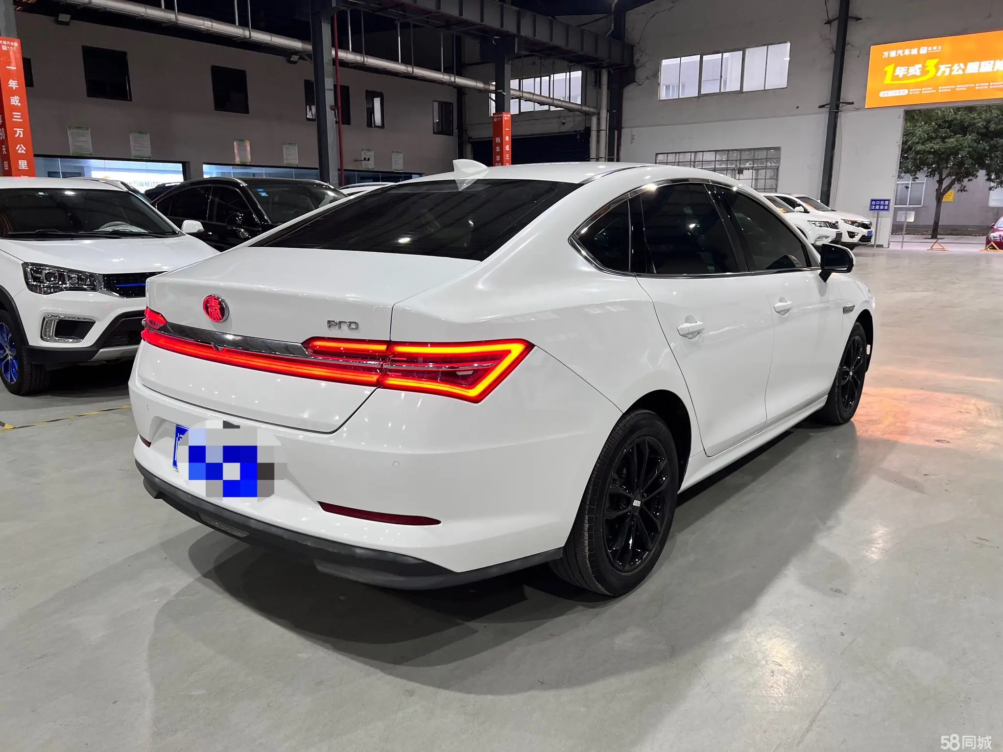 BYD Qin Pro 2020 car image #5
