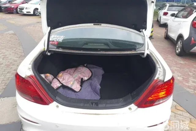 BYD SuRui 2016 #5 BYD SuRui 2016 immagine di auto #5