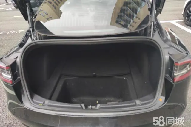 特斯拉 Model 3(进口) 2019 汽车图片 #5