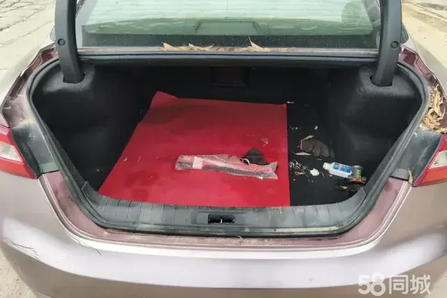 Nissan Maxima 2016 immagine di auto #5