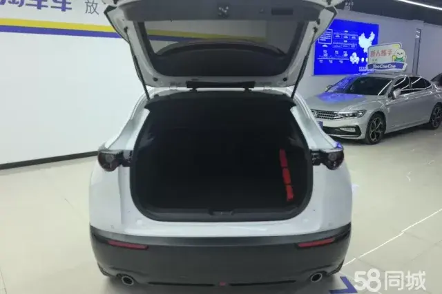 Mazda CX-30 EV 2020 imagen de coche #5