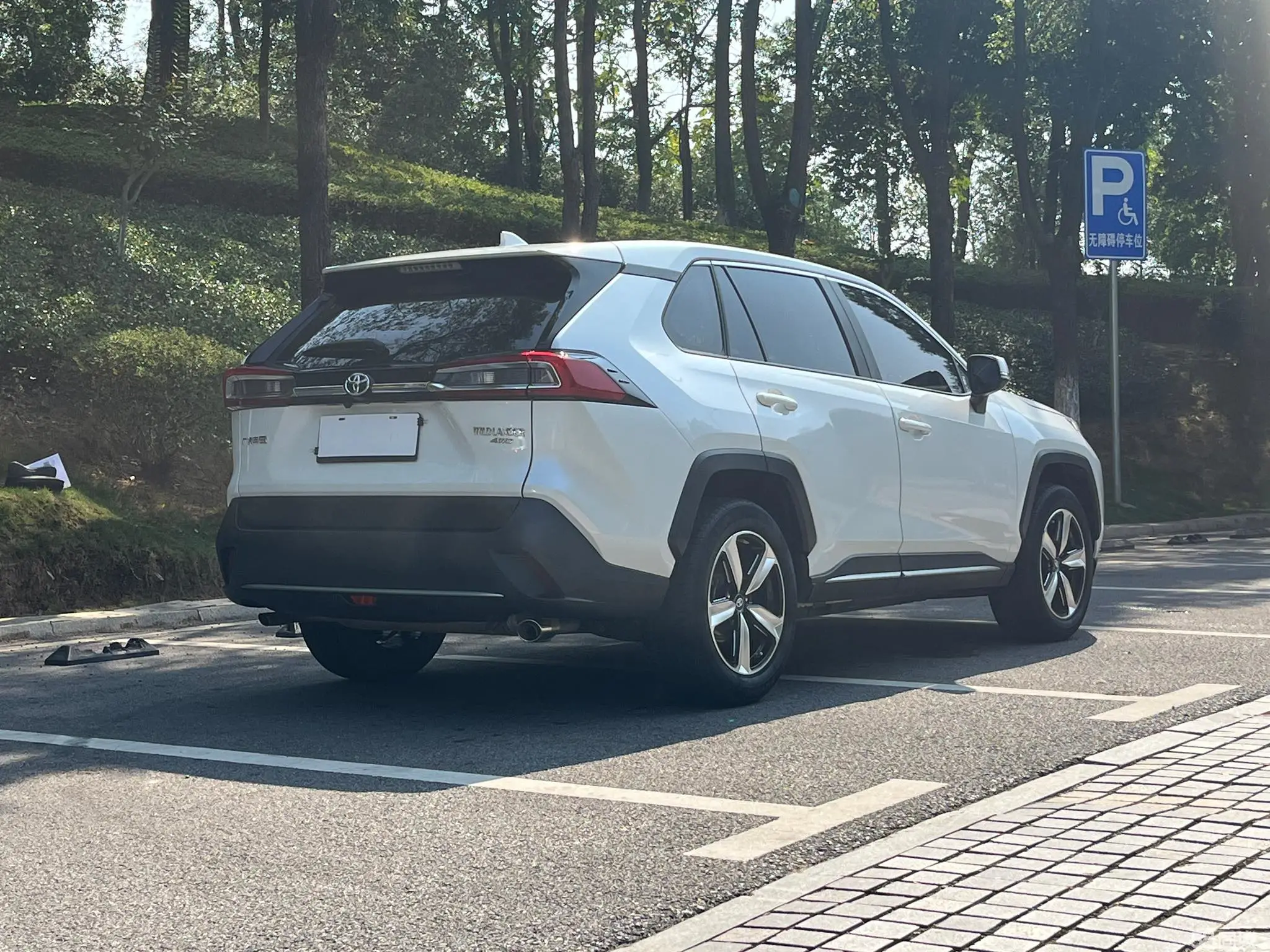 Toyota Wildlander 2022 imagem de carro #5