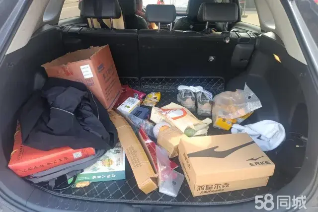 Toyota Wildlander 2020 imagem de carro #5