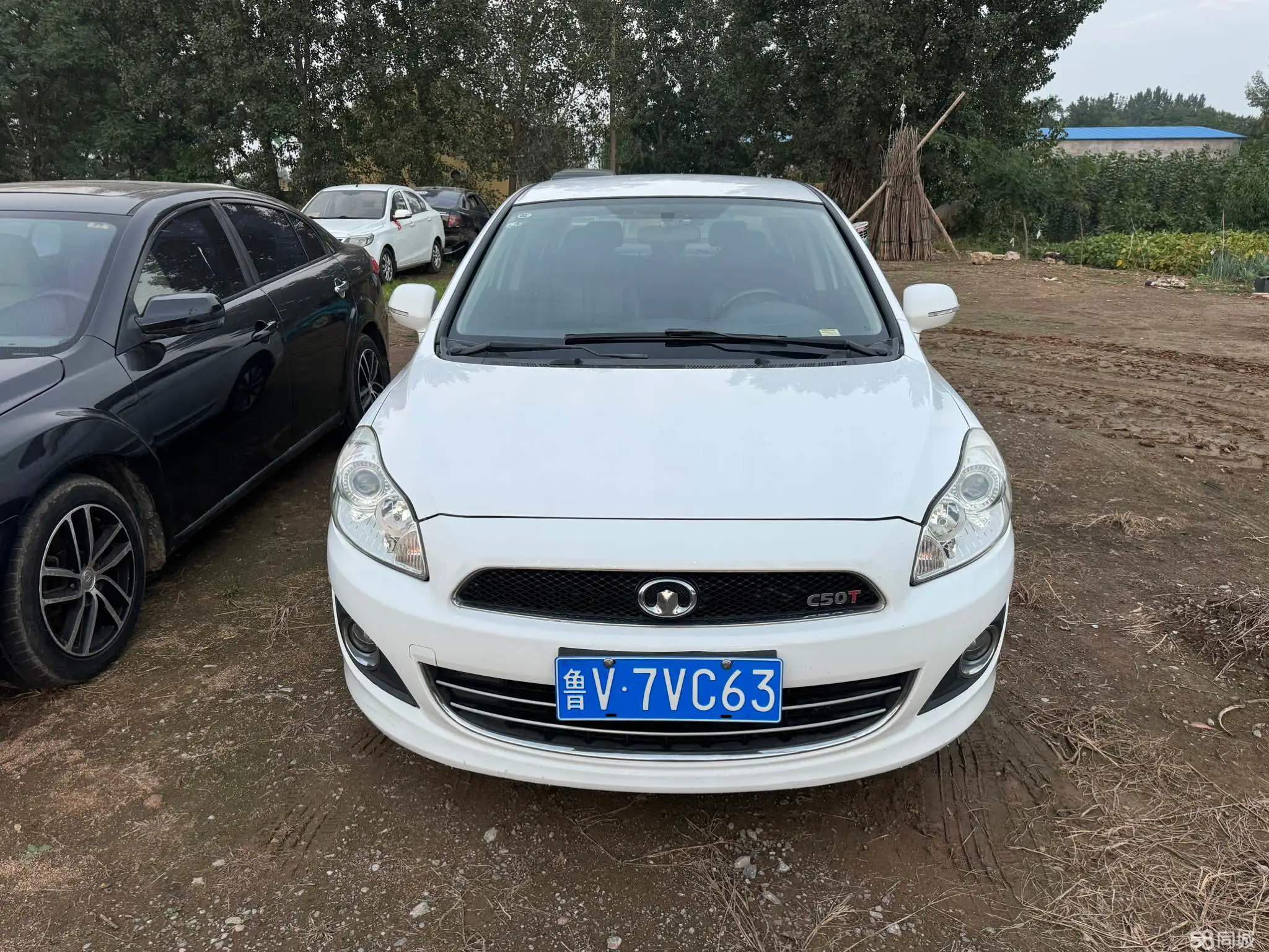 Great Wall C50 2013 immagine di auto #5