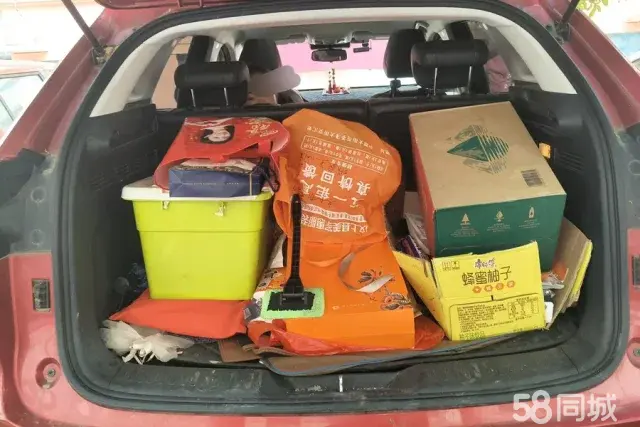 Haval H4 2019 car image #5