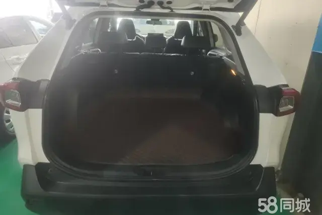 Toyota Wildlander 2022 imagem de carro #5