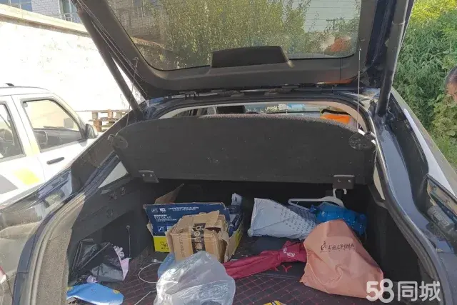 GEELY Tugella 2020 car image #5