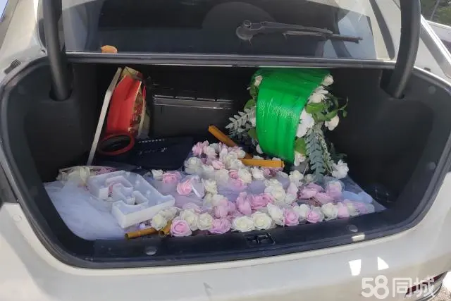 Denza DENZA 2017 #5 Denza DENZA 2017 imagem de carro #5