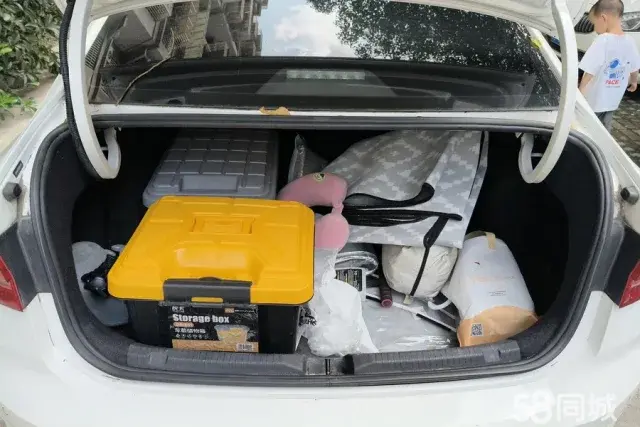 Volkswagen Lavida Pure Electric 2020 car image #5