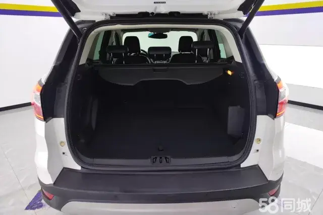 Ford Kuga 2017 car image #5