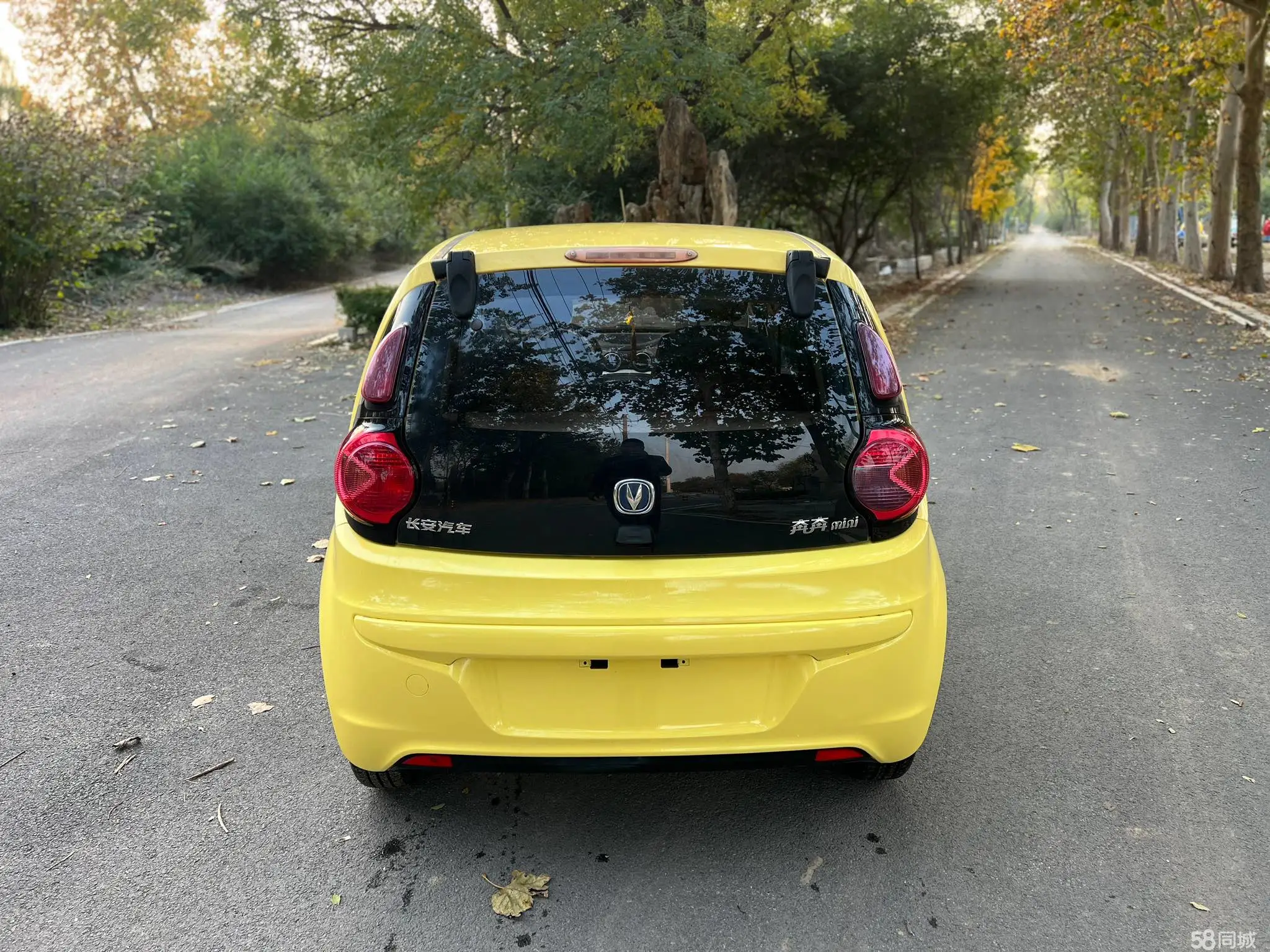 Changan BenBen MINI 2015 car image #5