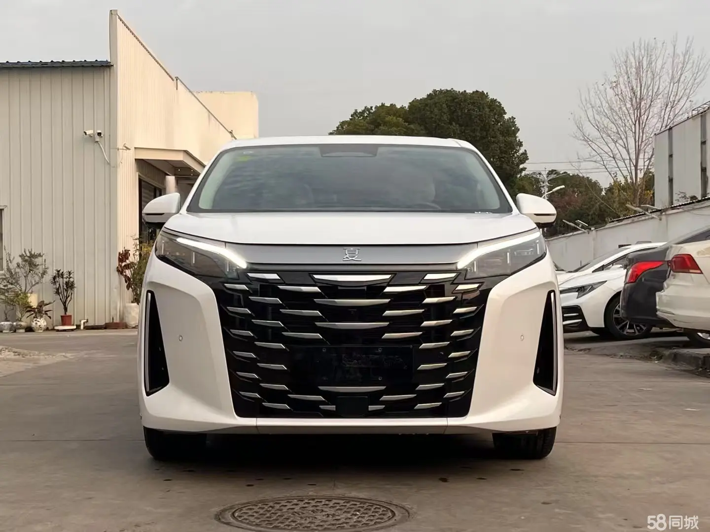 BYD Xia 2024 immagine di auto #5