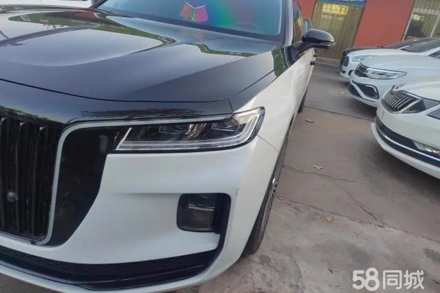 HongQi H9 2023 #5 HongQi H9 2023 immagine di auto #5