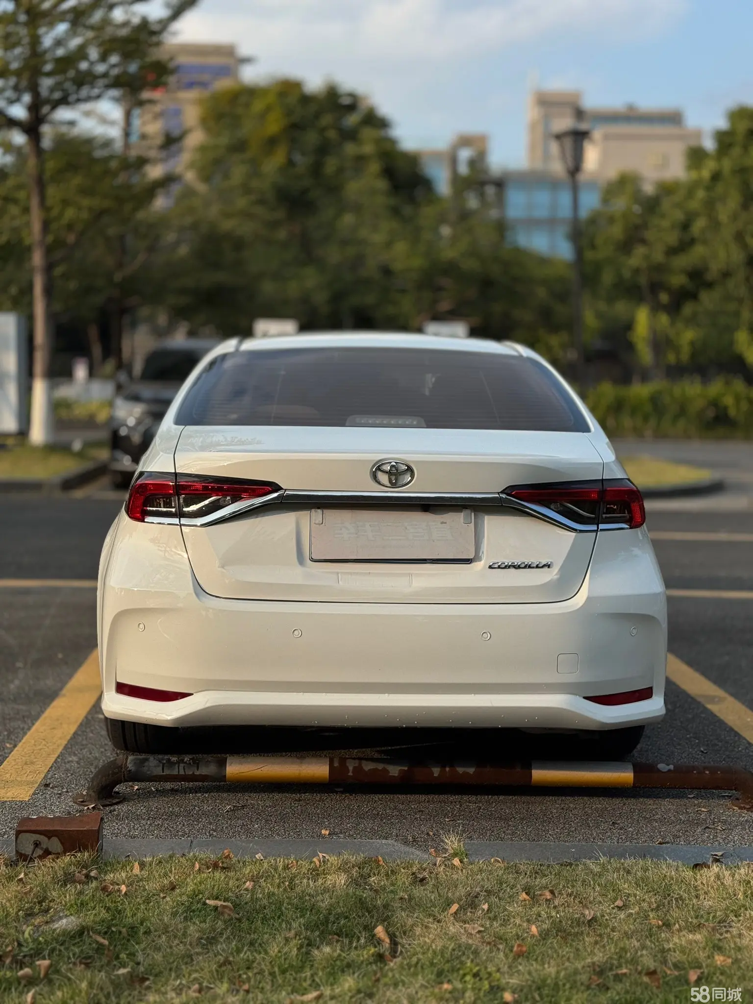 Toyota Corolla 2022 #5 Toyota Corolla 2022 car image #5