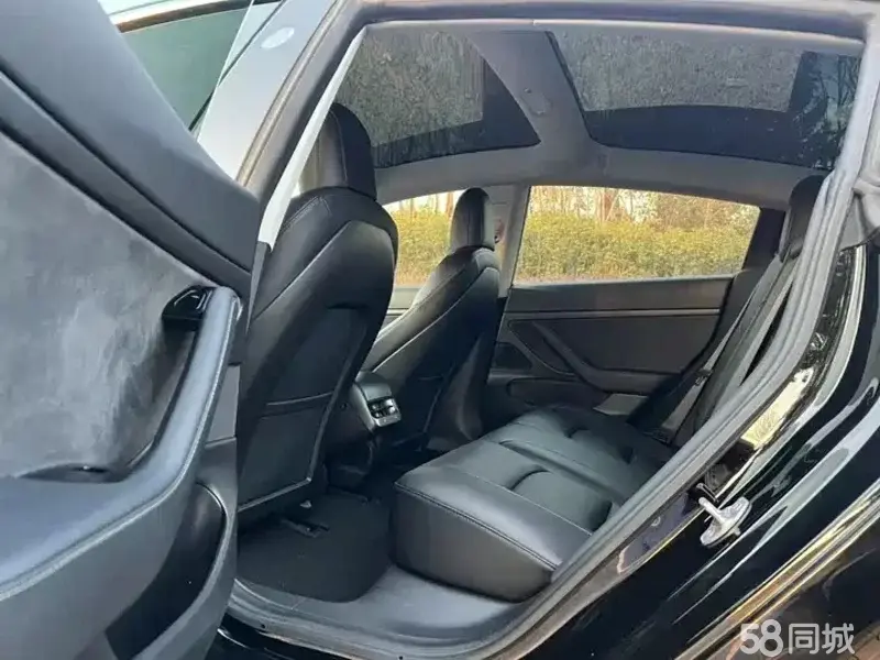 Tesla Model 3 2020 car image #5