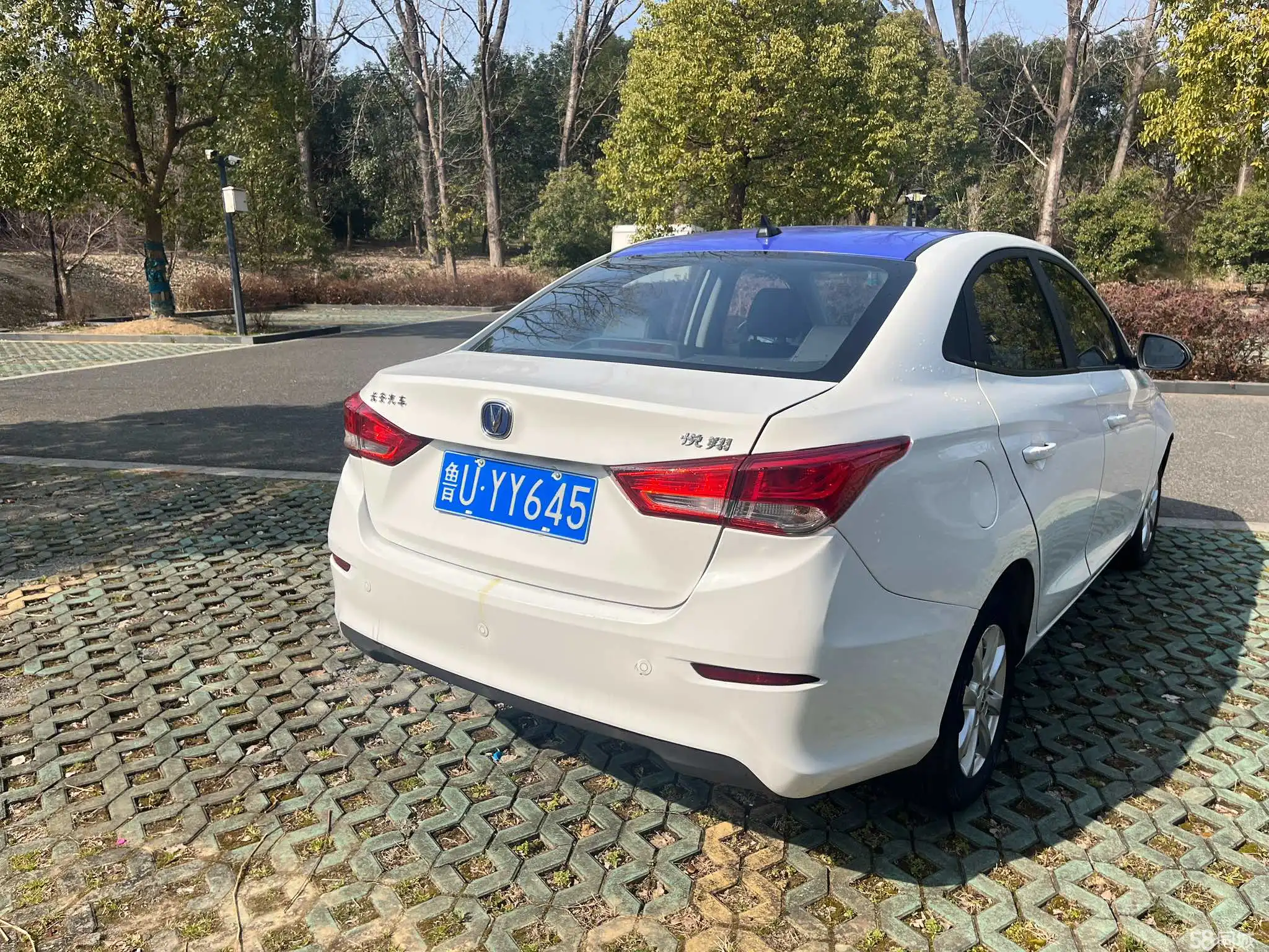 Changan Alsvin 2020 immagine di auto #5