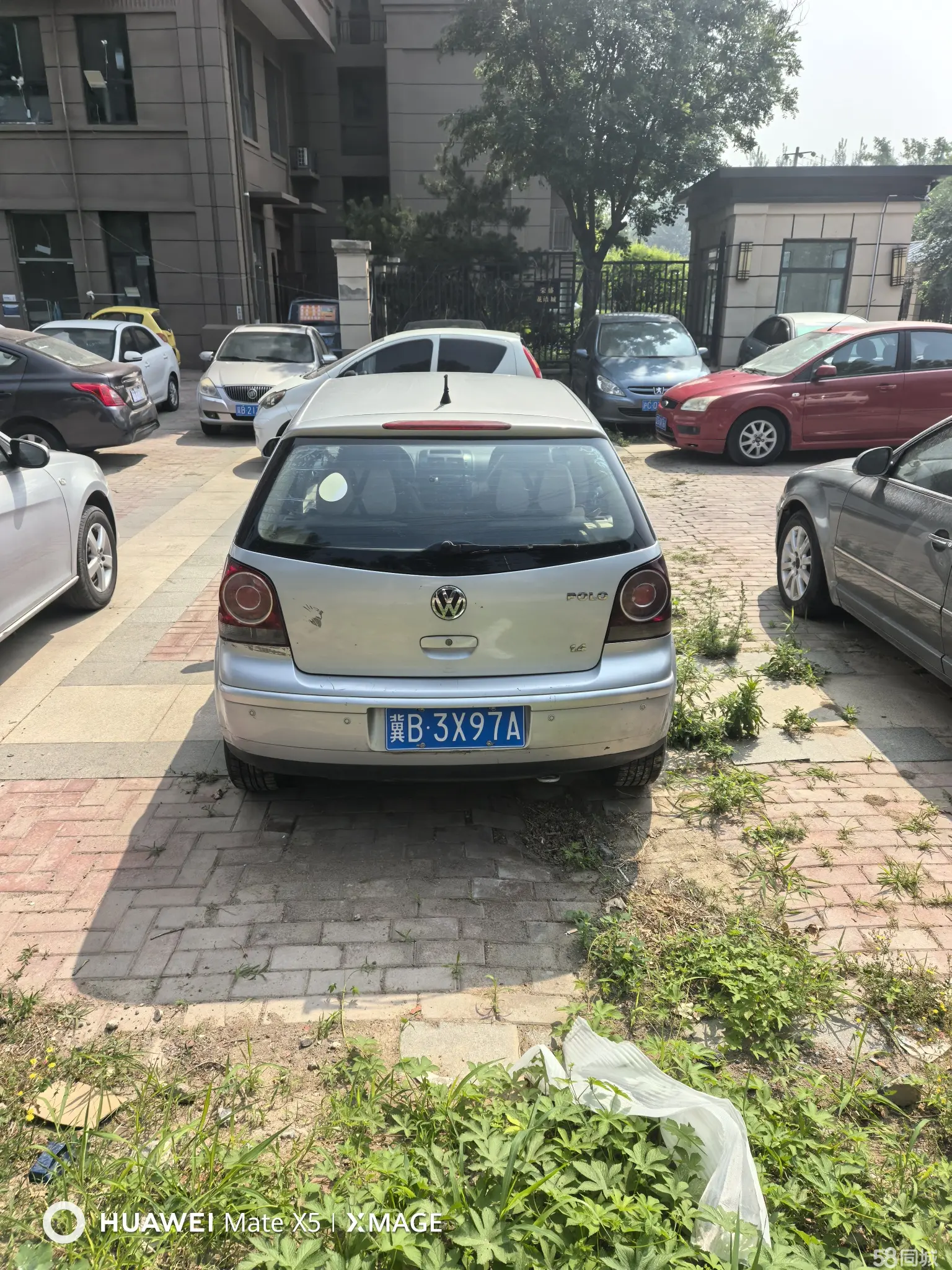 Volkswagen Polo 2007 car image #5