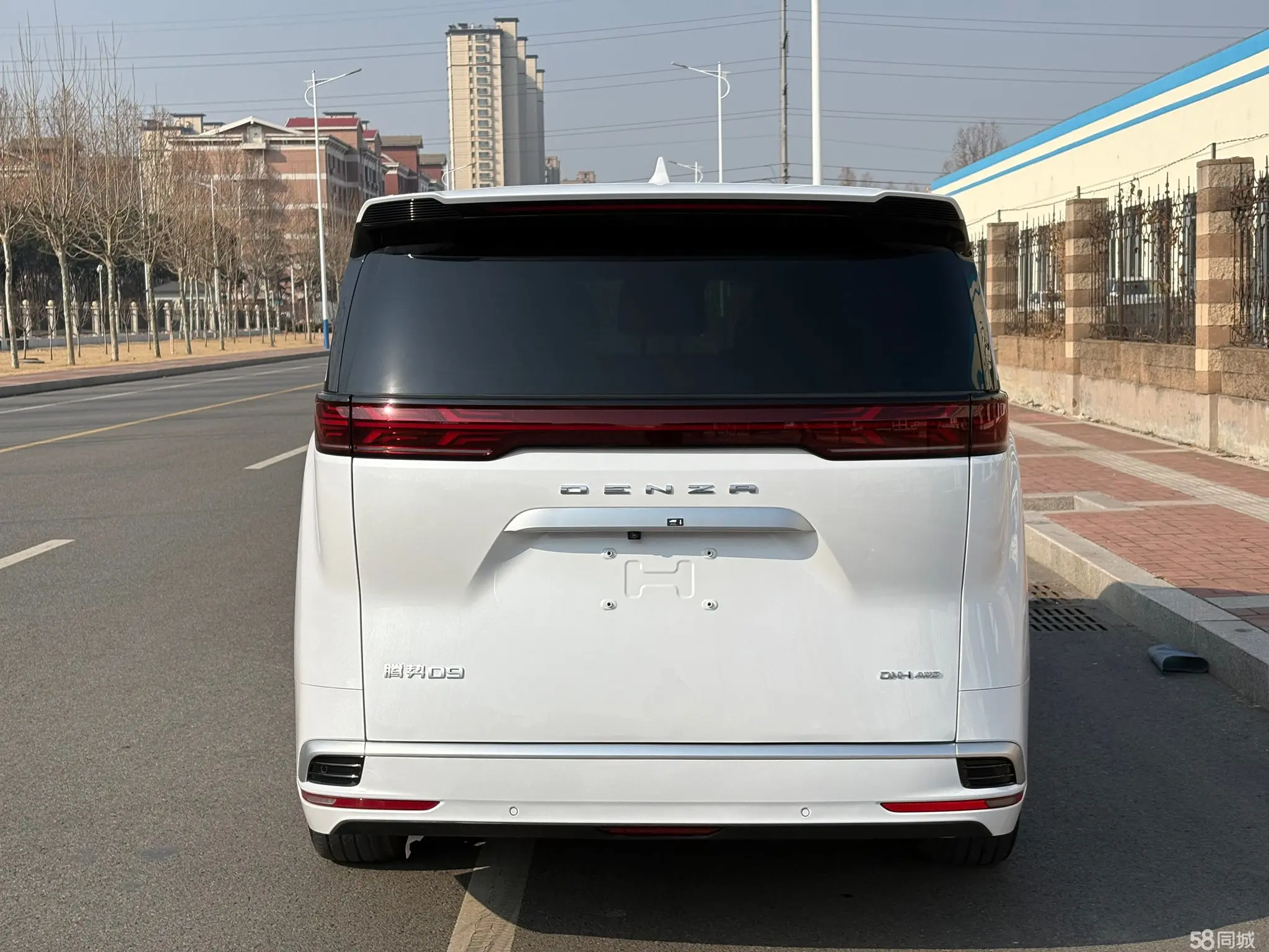 Denza D9 2023 image de voiture #5