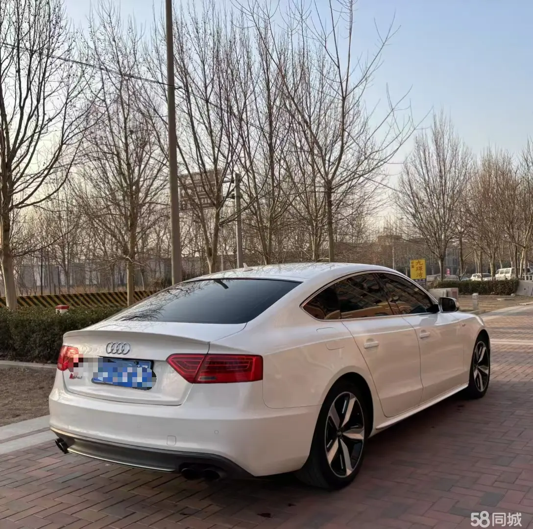 Audi S5 2023 #5 Audi S5 2023 car image #5