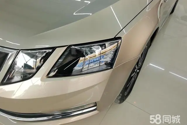Skoda Octavia 2019 car image #5