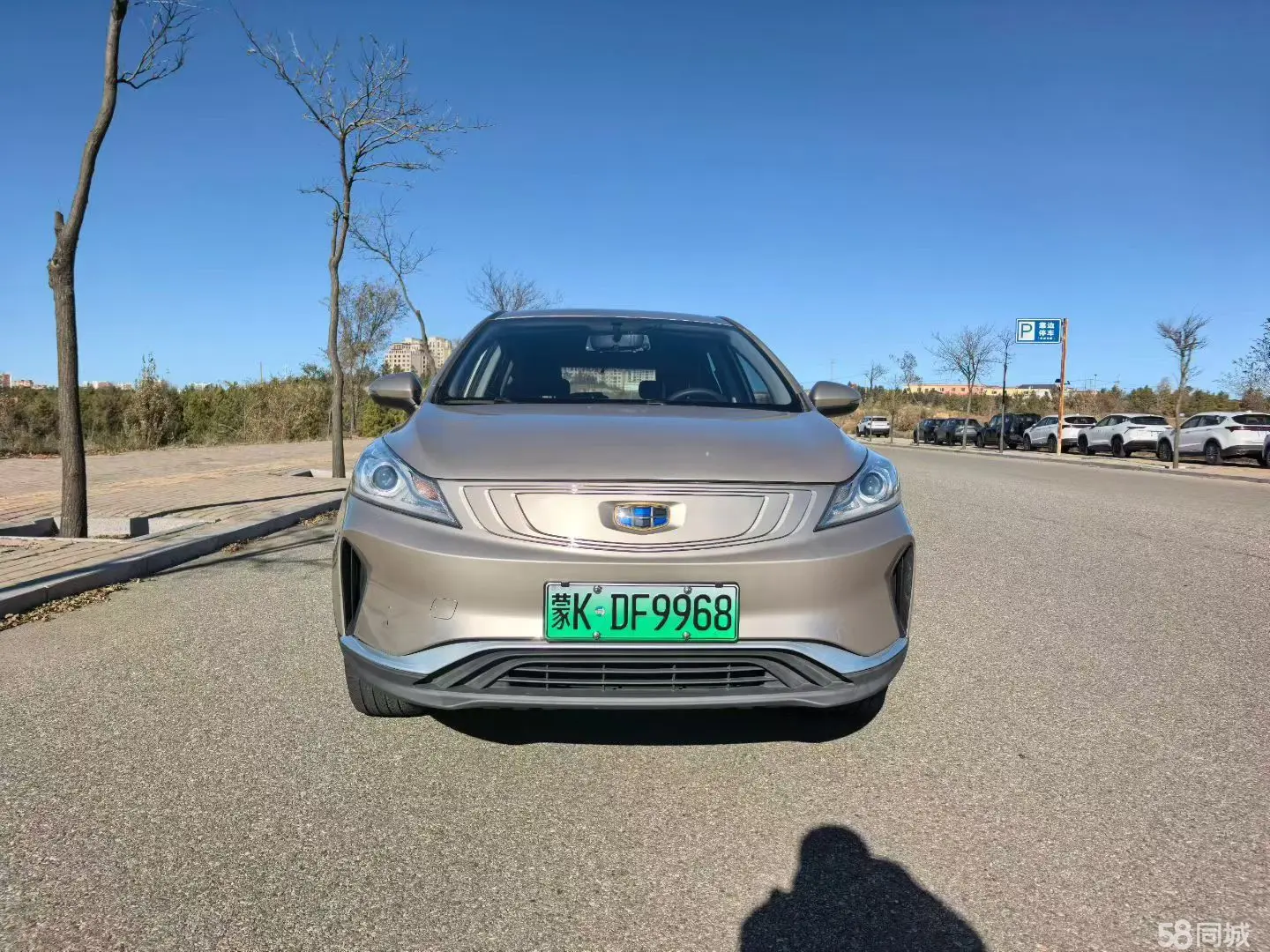 GEELY Emgrand GSe 2020 car image #5