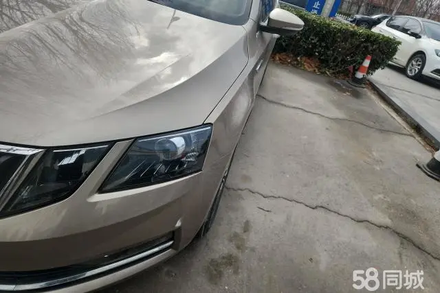 Skoda Octavia 2018 car image #5