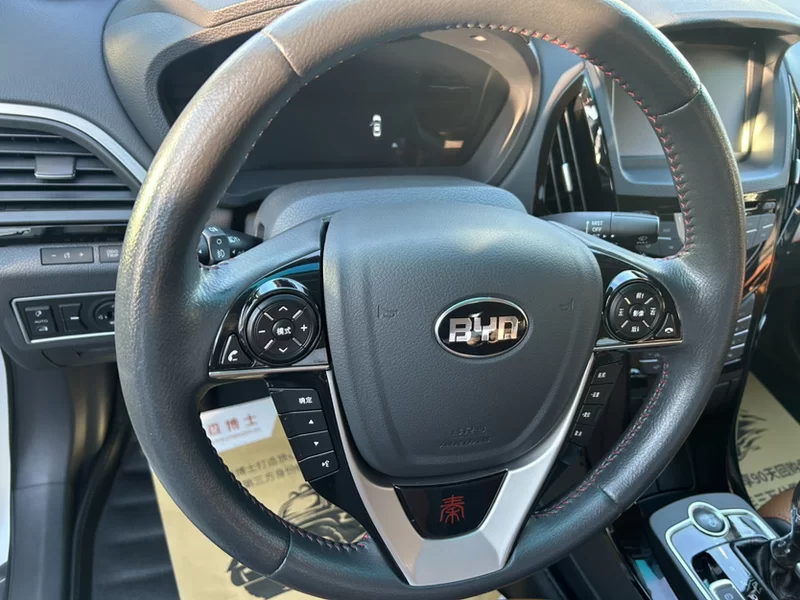 BYD Qin New Energy 2017 #5 BYD Qin New Energy 2017 immagine di auto #5