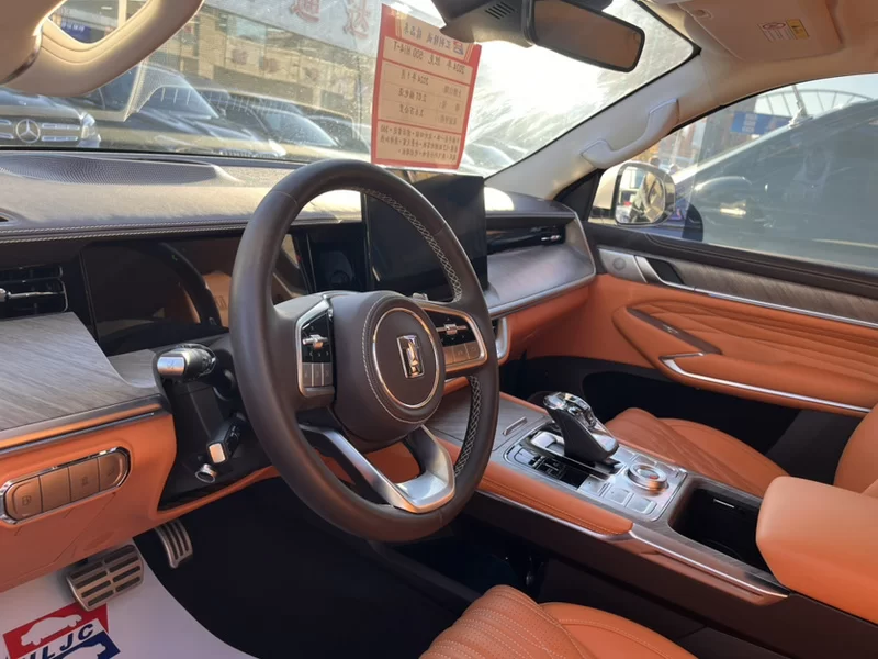 Tank 500 2023 imagen de coche #5