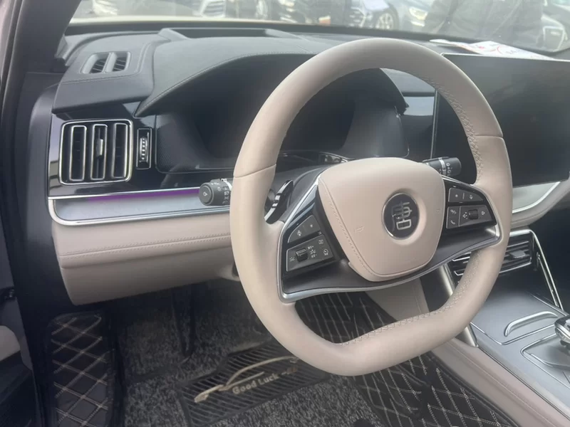 BYD Tang New Energy 2025 car image #5