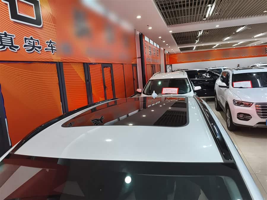 Haval Fierce Dragon 2024 car image #32